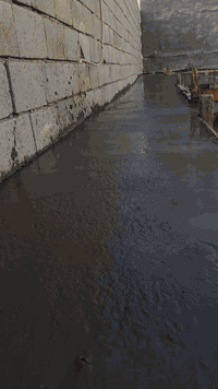 نجار متفرغ حالين البصره
جاهزين كافت عمال نجاره ***********
