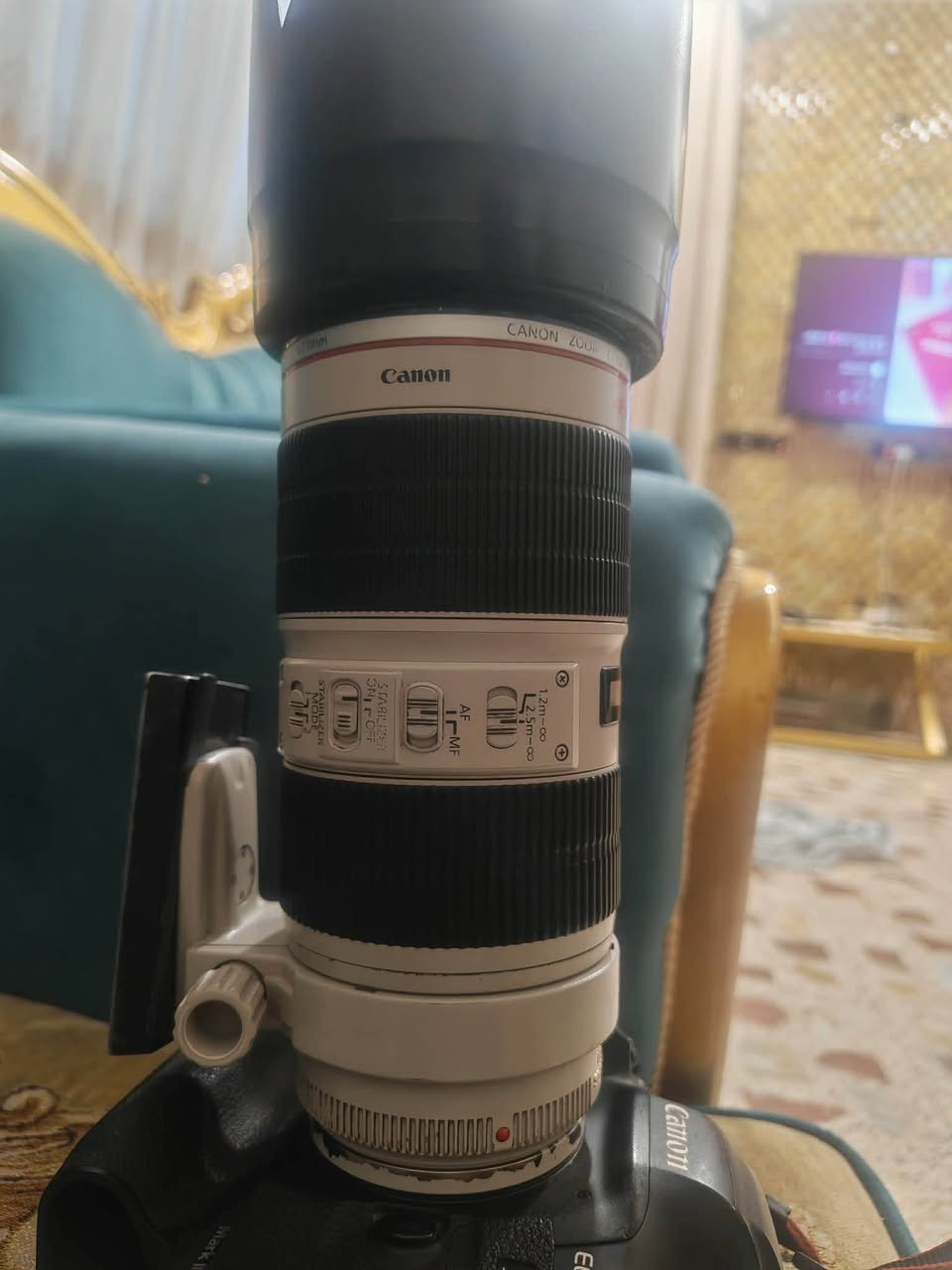 لبيع عدسه كانون
عدسه 70-200 فتحه 2/8 دبل ستبلايزر صدار  ثاني 
غنيه عن تعريف عدسه القوه في عدسات كانون

محتاج ريد بيعها 
سعر مليون 
***********
