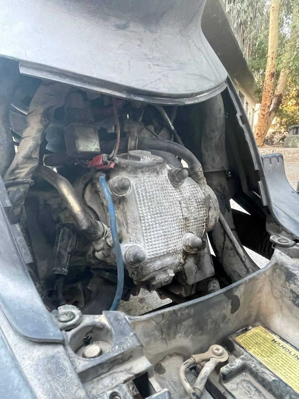 سلام عليكم ماكس منغولي للبيع 
ملاح فول ختم واحد السعر 350 
مكاني بعقوبة التحرير ***********
