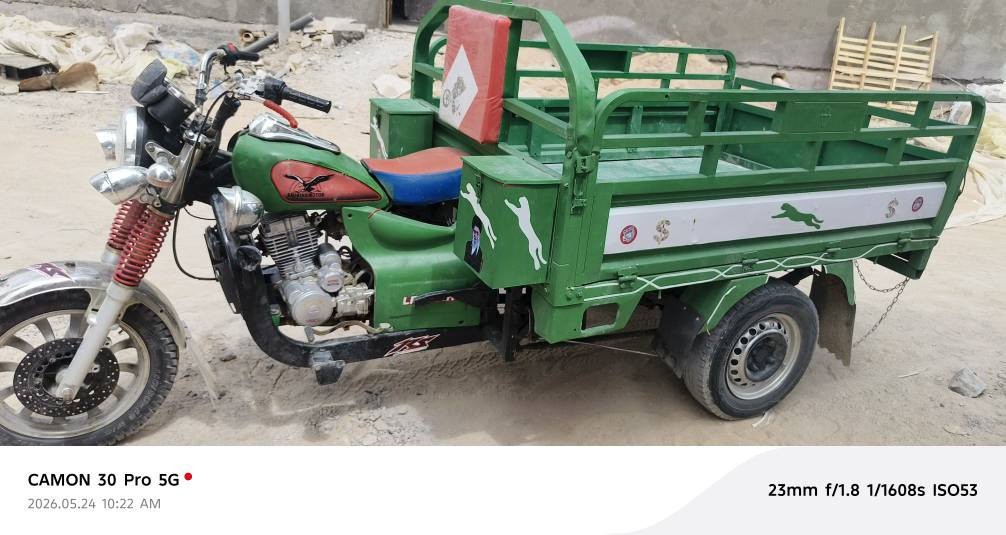 ستوتة جمرة فحل مديل 21 أوراق للبيع السعر  مليون وثمنمية 1800 العنوان أبو الخصيب عويسيان البصرة, العراق


**إذا كنت صاحب هذا الإعلان وتريد حذفه لأي سبب، رجاءا أرسل رسالة إلى الدعم الفني**