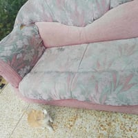 ديوان عراقي • ٣ قطع • حدباء