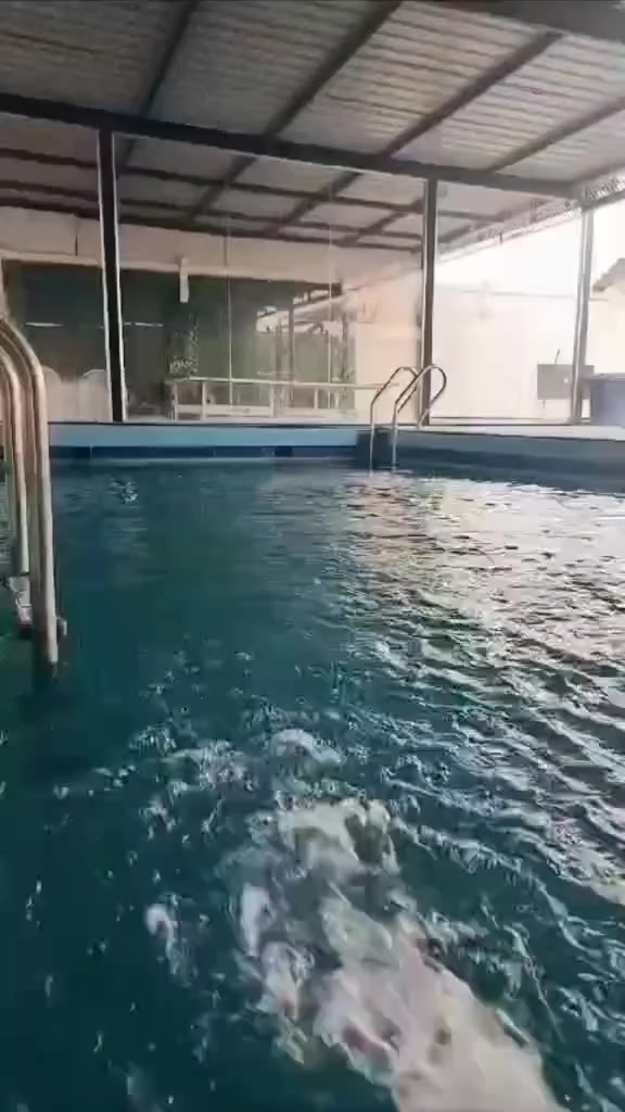 احجز مزرعتك يمنا واستمتع بالأجواء مع الاهل والأصدقاء 🥰
(مزارع البوعيثة) 
ترحب بكم
موثقة بتطبيق اجرلي
_♕_

1.نظام شفتات ونظام 24 ساعه 

1. نظام شفتات صباحي 
من 9ص لغاية 6 م

2. نظام شفتات المسائي
من 8 م لغاية 7 ص

♕
تحتوي المزرعه على... 

1. غرفتين نوم  .. واكو غرفة 1
2. صالة كاملة
3. حديقة واسعة 
4. مطبخ  كامل
5. مسبح
... كعدة عربية ...
مكانات خاصة لشوي... 
منظدة...... 
العاب اطفال..... 

كهرباء على مدار 24 ساعة

.. موقف سيارات يتسع اكثر من 10 سيارات♕__

***********‪

الدورة / البوعيثة
#اللهم_صل_وسلم_وبارك_على_نبينا_محمد
