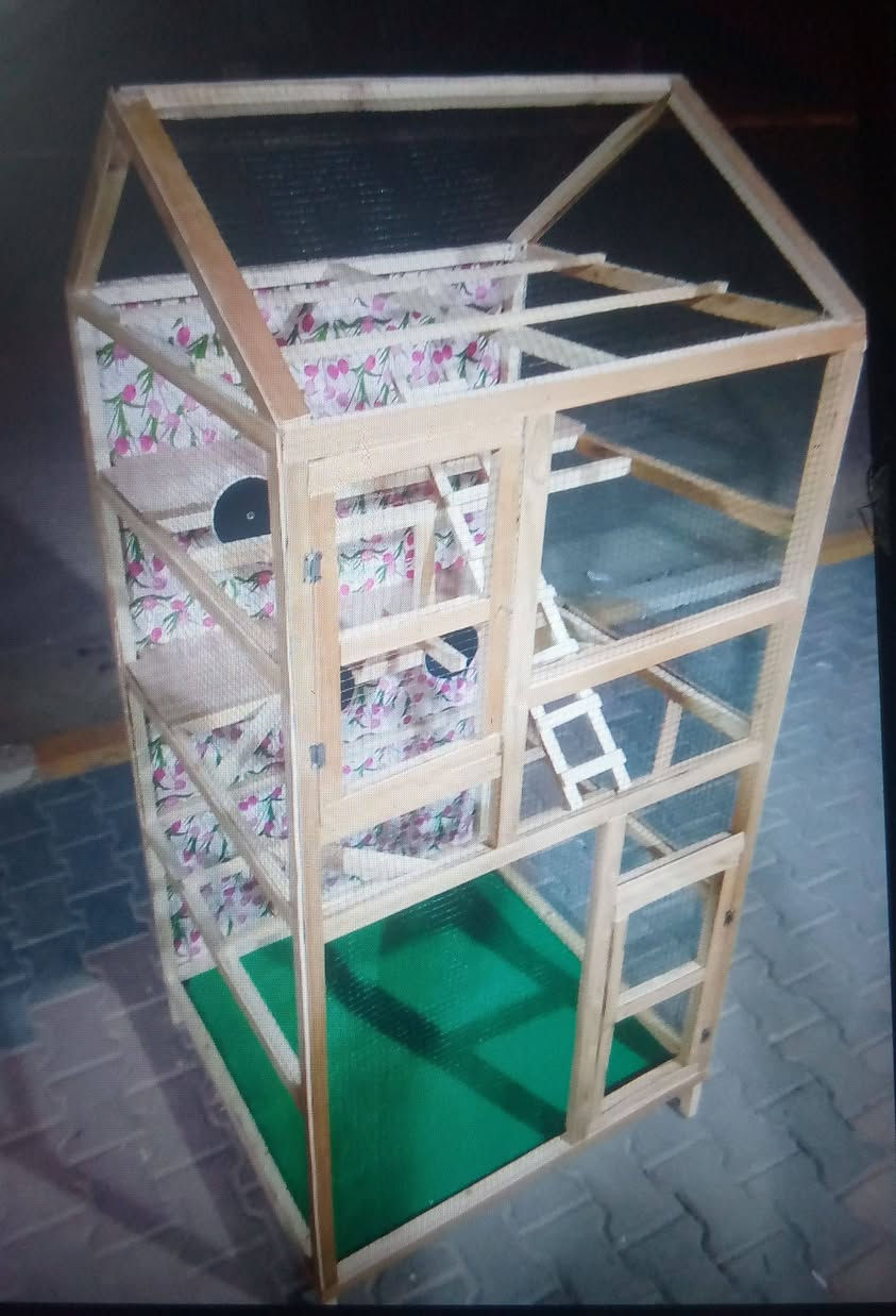 قفص للبيع جديد السعر 69 الف


**إذا كنت صاحب هذا الإعلان وتريد حذفه لأي سبب، رجاءا أرسل رسالة إلى الدعم الفني**