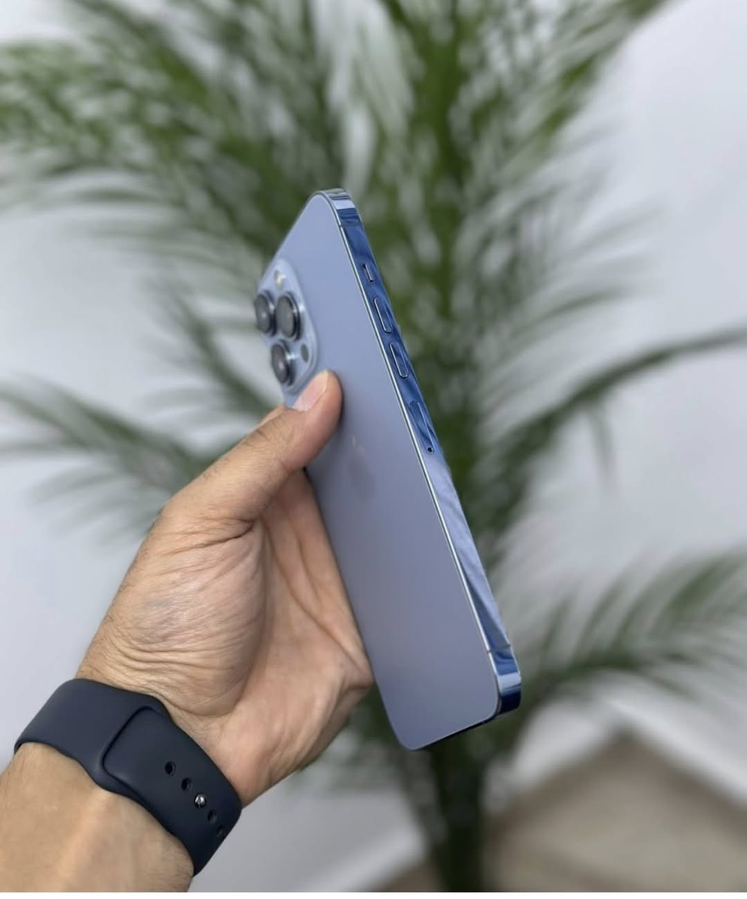 آيفون 13 برو ماكس مكفول كفاله عامه وتر بروف ذاكره 256 بطاريته 81 بلاديه مامرفرعه
ابد نضافت الجهاز 100 على 100 السعر خاص


**إذا كنت صاحب هذا الإعلان وتريد حذفه لأي سبب، رجاءا أرسل رسالة إلى الدعم الفني**