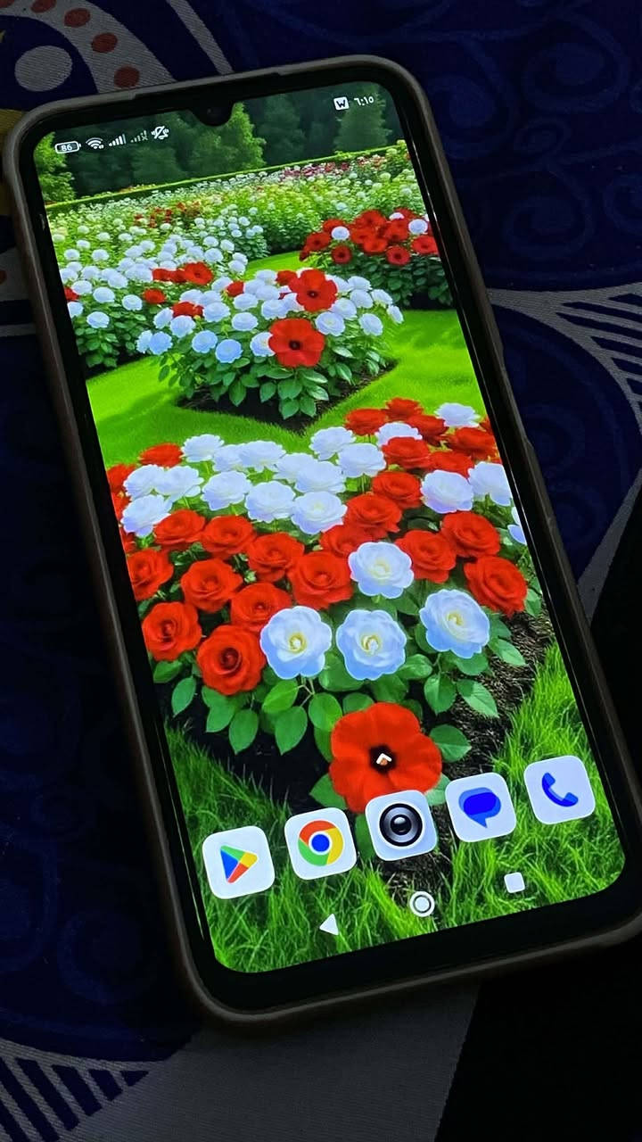 redmi 15c
ذاكرة 256
رام 8
السعر 125 وبي مجال بسيط العنوان بابل القاسم
*********** المحاويل, بابل

