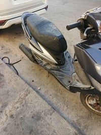 سكنس  فحل نوزل للبيع مكاني بغداد البياع  للاستفسار ‏‪07881144009‬‏