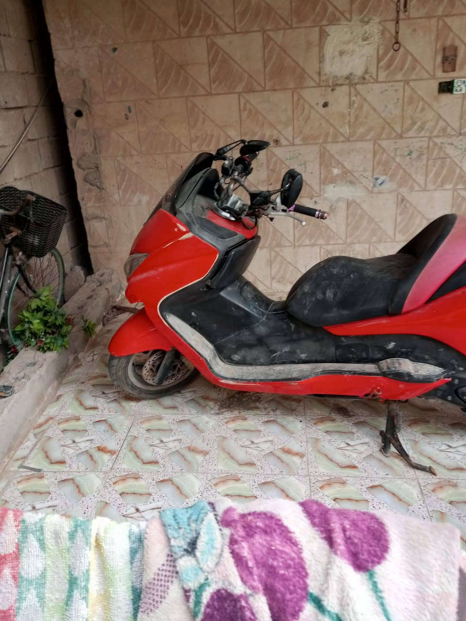 فوزة للبيع ابو صخير المعسكر ***********
