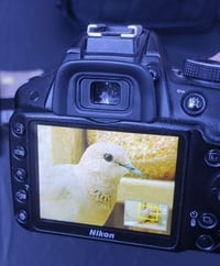 كاميرا نيكون • نيكون D3200 • كاميرا احترافية • عدسة 18-55mm • كاميرا م...