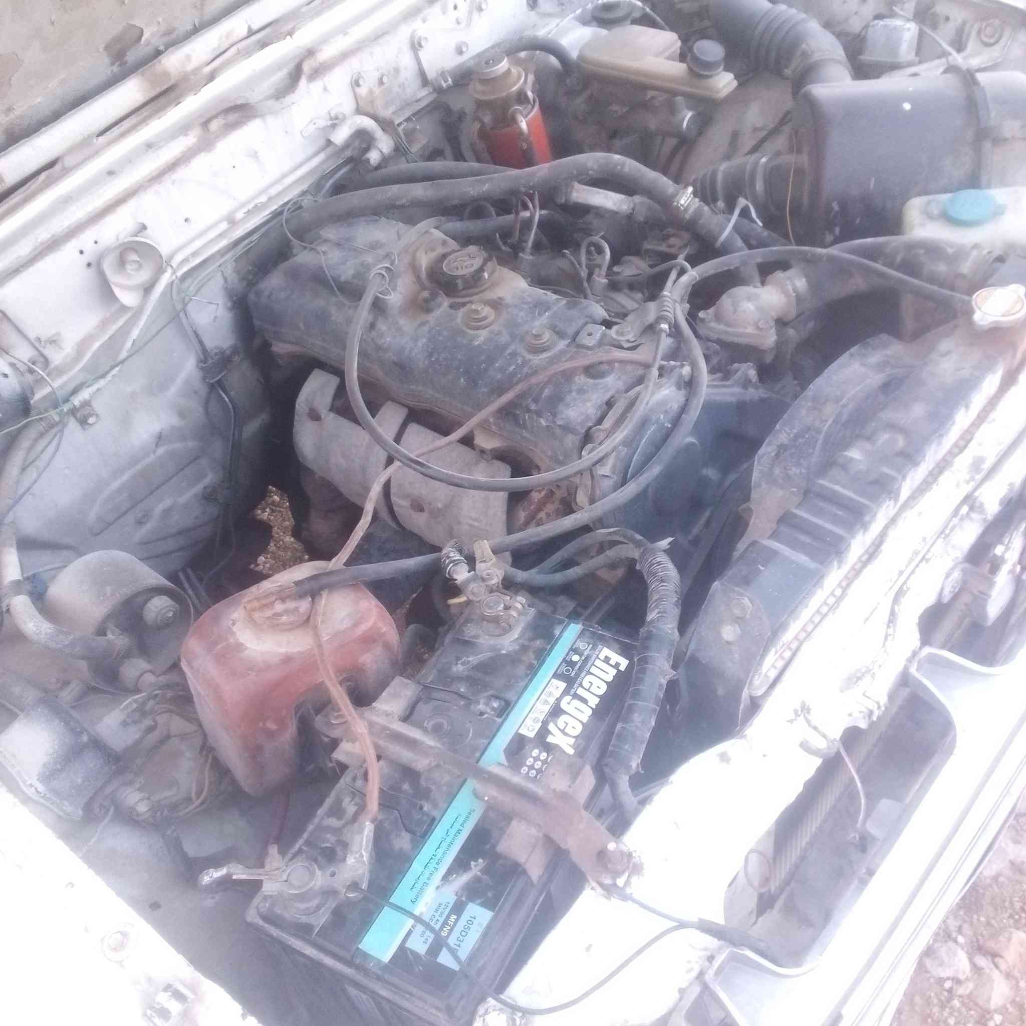 هايلكس 82 مرخصة فرهول جديد ولا غرام شصي فحص قير بككس بدي شوفت عينك دفايه شغاله  0797486536


**إذا كنت صاحب هذا الإعلان وتريد حذفه لأي سبب، رجاءا أرسل رسالة إلى الدعم الفني**