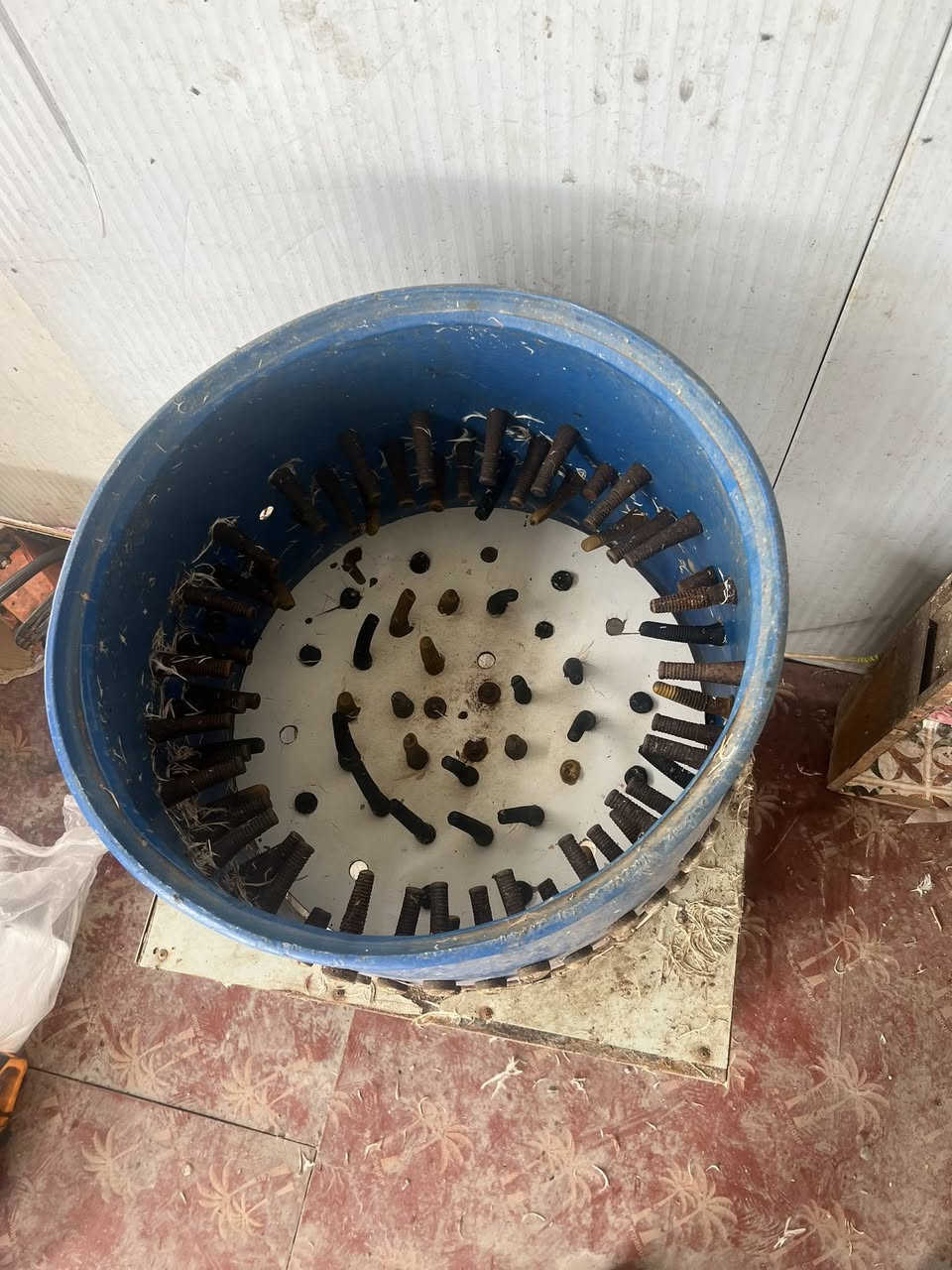 هلاسه ججاج للبيع شقاله مابيهه شي مكان البصره قضاء الدير *********** سعرهه مناسب
