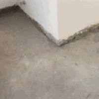 يوجد لدينا كادر تنظيف البيوت والعمارات ويتوفر لدينا كادر تصعيد المواد ...