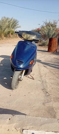 فراشة • ديوانيه • حك