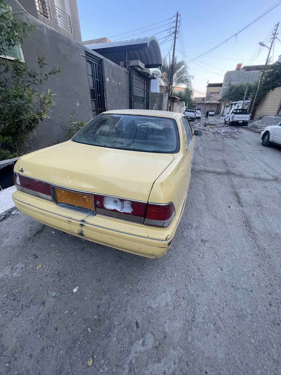 راس ثور كصتين رقم صدامي  بدون راعي وسنويتها ضايعه ابيع هل موجود السعر 20 قفل  البصره القرنه ***********
