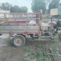 ستوته • موديل ١٩ • كلشي جديد