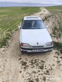 اوميگة • فول • كفالة عامة