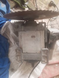 خضار • طازج