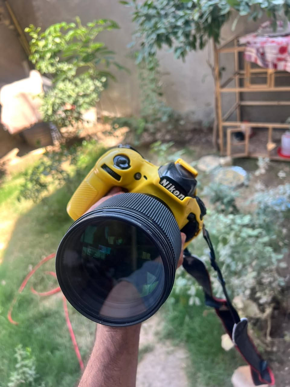 كاميرا نيكون D810
عدسة سيكما 85 فتحه 1.4
***********
العنوان حله
