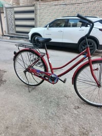 نجف • حي سلام غري • دراجة