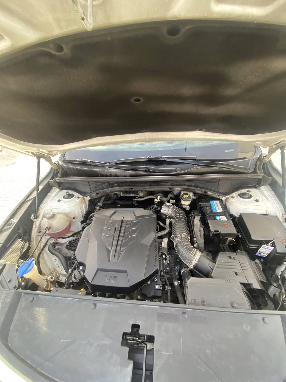 سورنتو 2021
كفاله عامة ٦ سلندر 
ماشية 92 الف
كراسي جلد كهرباء 
بصمة تشغيل وبصمة دخول 
تشغيل عن بعد 
صندوك كهرباء 
تبريد٣ قطع 
مكاني نجف 
***********
