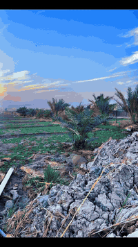 سلام عليكم
بستان للبيع زراعي مساحه 4000 متر واجه 25 نزال 200 كله نخل نشو حمال شويثي بي تقريبن 75 نخله العنوان بساتين ابو حلانه نهايت شارع ابو البنان مكان كلش حلو بستان على نهر ابو حلانه ماي سقي حلو السعر والاستفسار نتصل وتساب 

‭0780 631 7781‬
