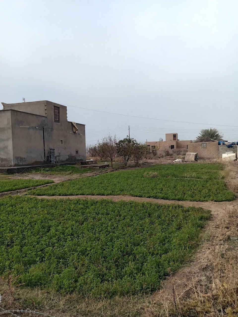 #السلام #عليكم #البيت #معروض #لبييع 
البيت يتكون من غرفتين +هول +ستقبال +ديوان وكلدور +مطبخ  ستقبال وديوان وكلدور سيراميك حمامات خارج سيراميك  الباقي صب ناعم 
المساحه 1800 يعني اقل دونم بضهر البيت خان +مخزن واضح بصور  
#الموقع #الجزيره #قريه #المراسمه 
أللاستفسار (***********)   (***********)
