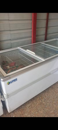 عارضات • عدد ٢ • زان اصلي