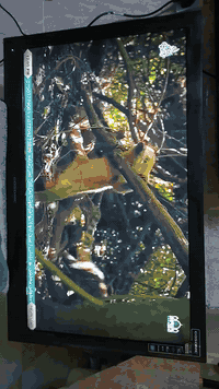 ئەم تەلەفیزۆنە بۆ فرۆشتن بەشەرتی بێعەیبی نرخی تەنها 70هەزارە شوێن کەلا...