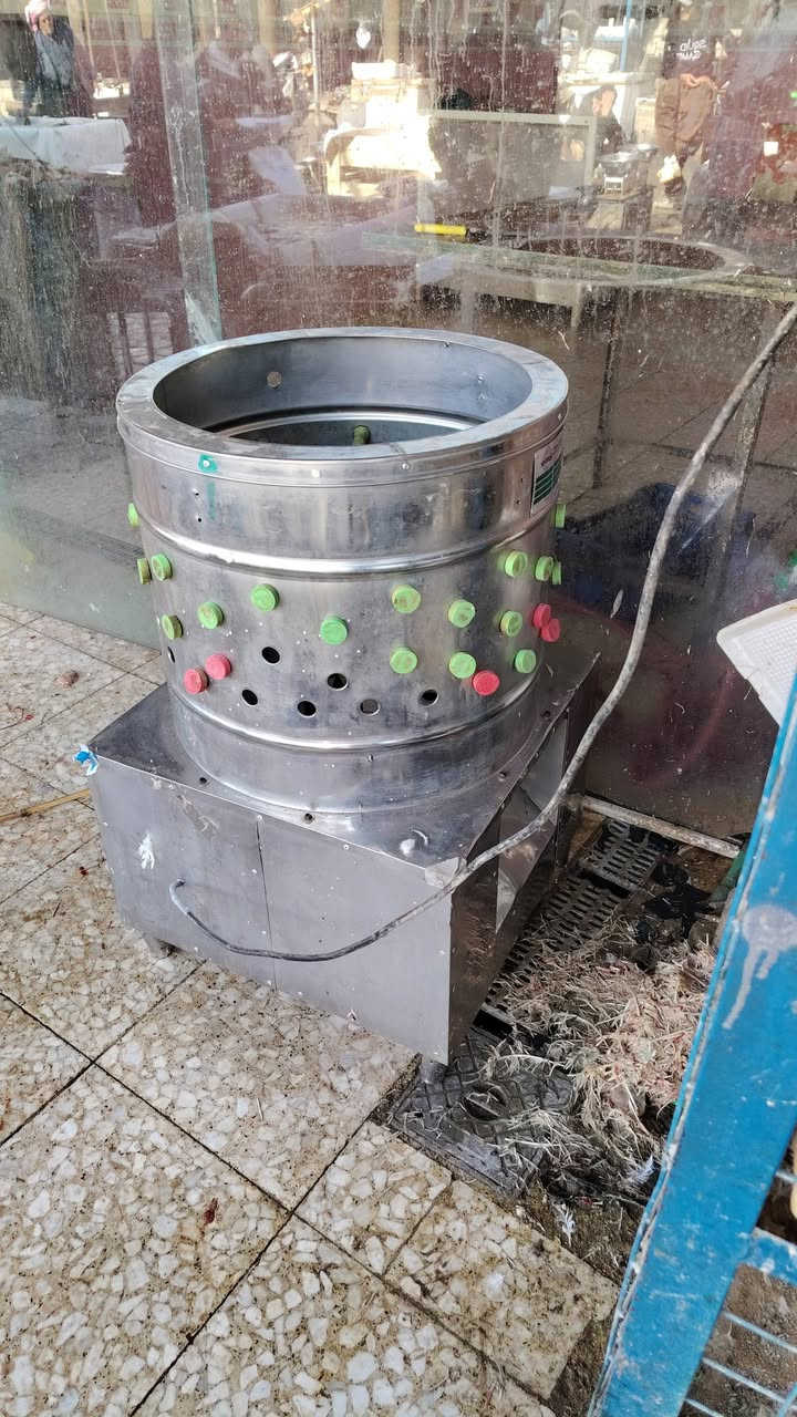 هلاست دجاج البيع تجي تفحص اله تاخذ   ***********
