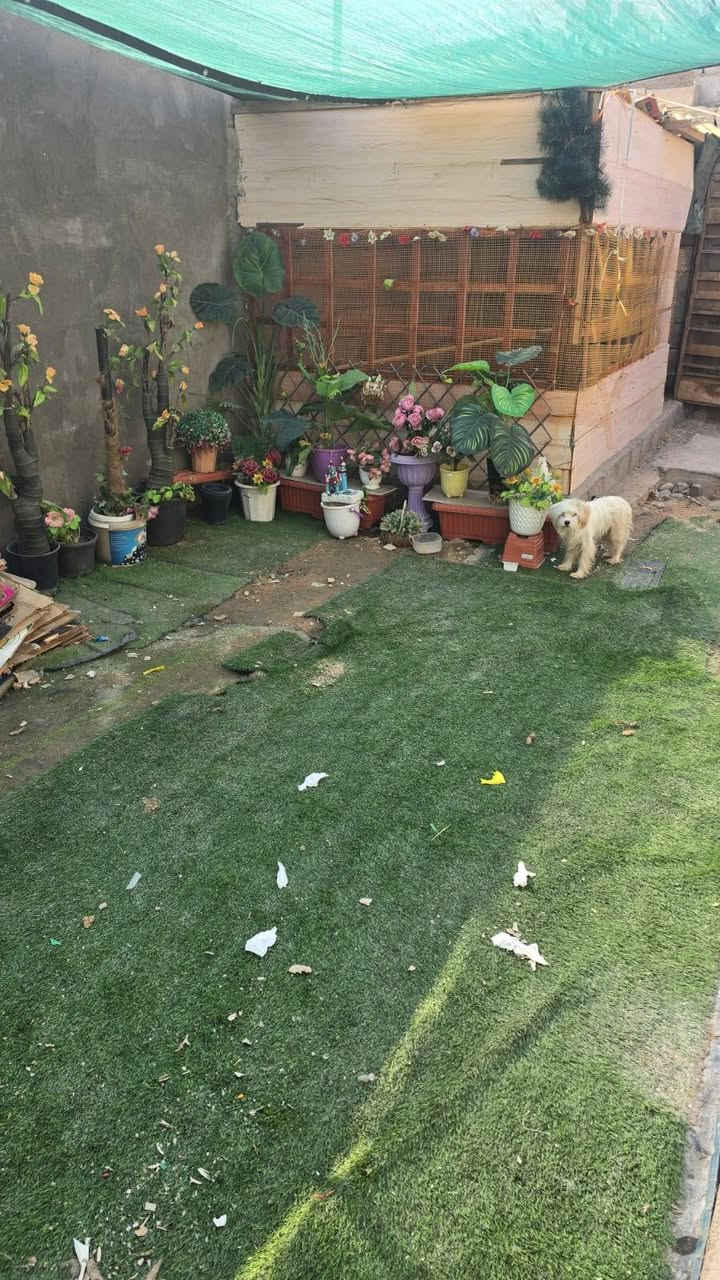 دار سكن للبيع وقف سني اصولي مسجل دفع بل سنه 25الف العنوان بصره أبي الخصيب العوجه قرب قطاع الصحي  يقع على شارع تبليط 10متر المساحة بيت 🏠 200متر يتكون من غرفيتي ودوانيه وصاله ومطبخ كراج حديقه صحيات خارج وداخل السكف سندويج مرتب السعر 45مليون الاستفسار اتصل أو وتساب ***********
