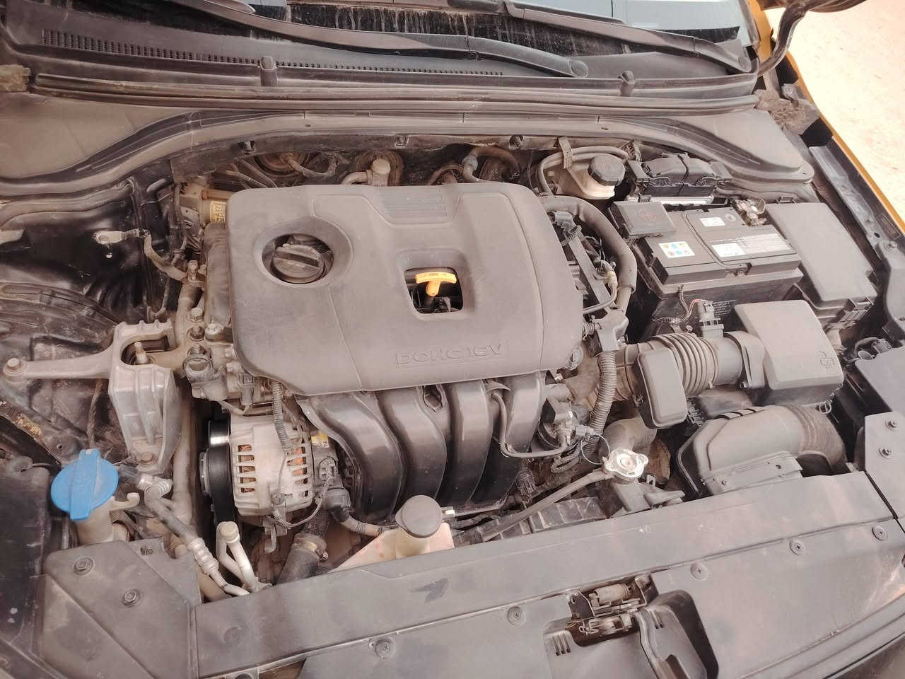 سلام عليكم شباب النتر 2020 وارد امريكي الحادث موثق بل سونار مكاني ديوانية علا طريق سنيه ***********  شراي دلل ذا مراوس ابتيما خصوصي
