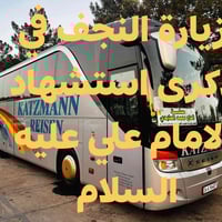 زيارة النجف • استشهاد الإمام علي • حملة الحاج محمد