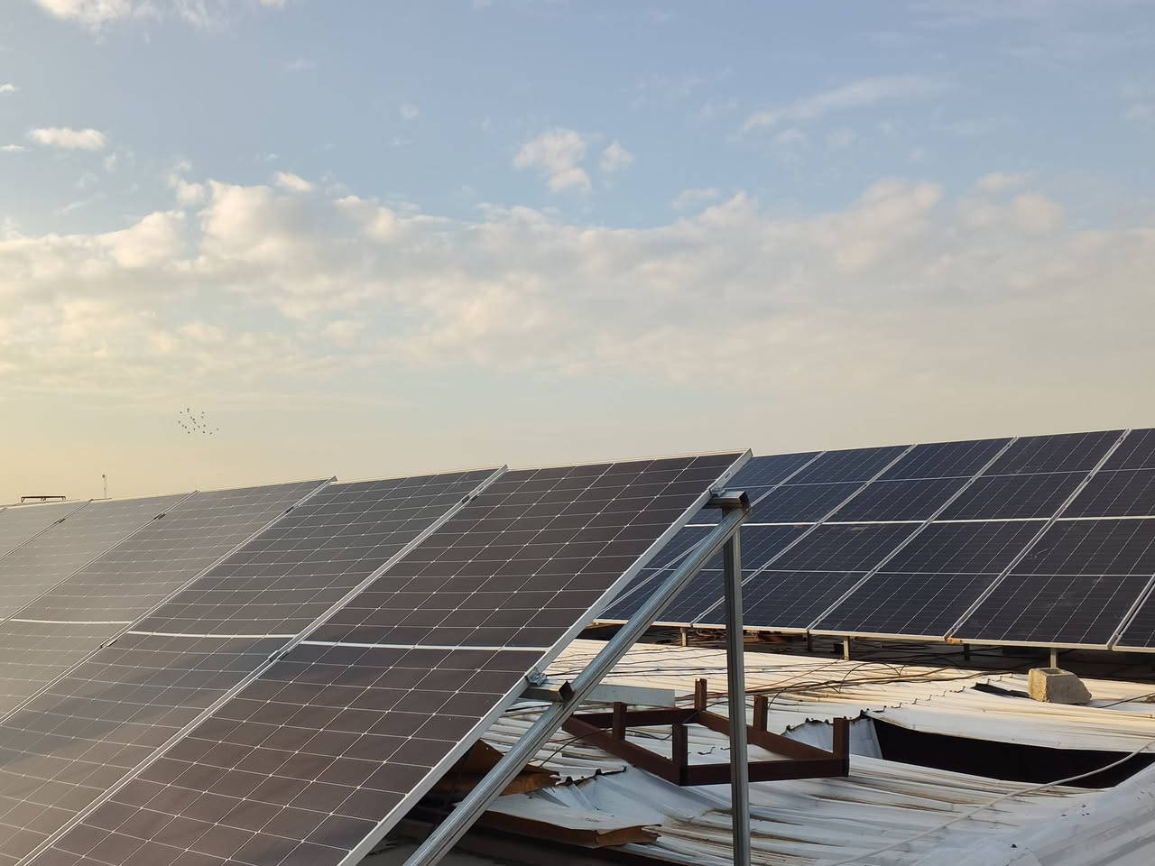 #ديالى_قضاء_بعقوبه_المجمع_التجاري

تم بعون الله اليوم 2026 /2/1
تنصيب  منضومت طاقه شمسيه
تفاصيل المنضومه

منضومة 40 مبير نهاري  30 امبير ليلآ
انفيرتر 11 كيلو واط ضمان سنتين عدد 1
بطاريات  ليثيوم 15كيلو واط عدد 2 ضمان ٥ سنوات 
الواح لونجي عدد 20 ضمان 10 سنوات
بورد حمايه و قواطع اي سي +دي سي
اسلاك دي سي دبل عازل حراري 

للطلب والاستفسار يرجى مراسلة الصفحة أو الرقم الواتساب ***********
