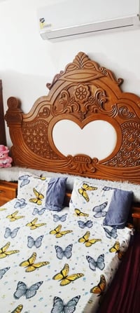 تسگام • عراقي الاصلي • للبيع