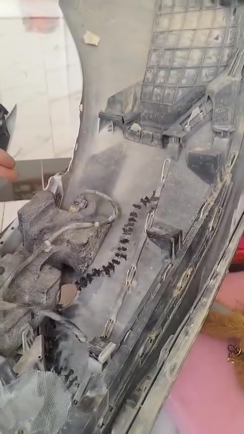 خوان العده دعاميه طاكه او بيه كسر شغل درجه اوله مكان النعمانيه تغاطع سيد مالك موجودين طول لوكت نتصال علئ رقم ***********
