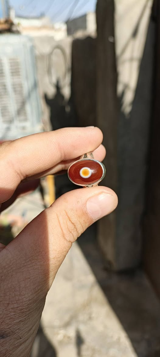 سليماني هندي اصلي البيع
تصال على الرقم ‏‪***********‬‏
