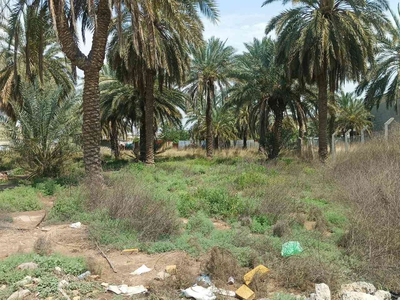 دونم للبيع
سلام عليكم 

دونم للبيع في السريدات القديمه بانهايه المربع الثالث

مساحه الارض 2500متر

واجه 36متر

نزال 71متر

نوع العقار زراعي سند 25

السعر خاص 

للاستفسار 

***********
