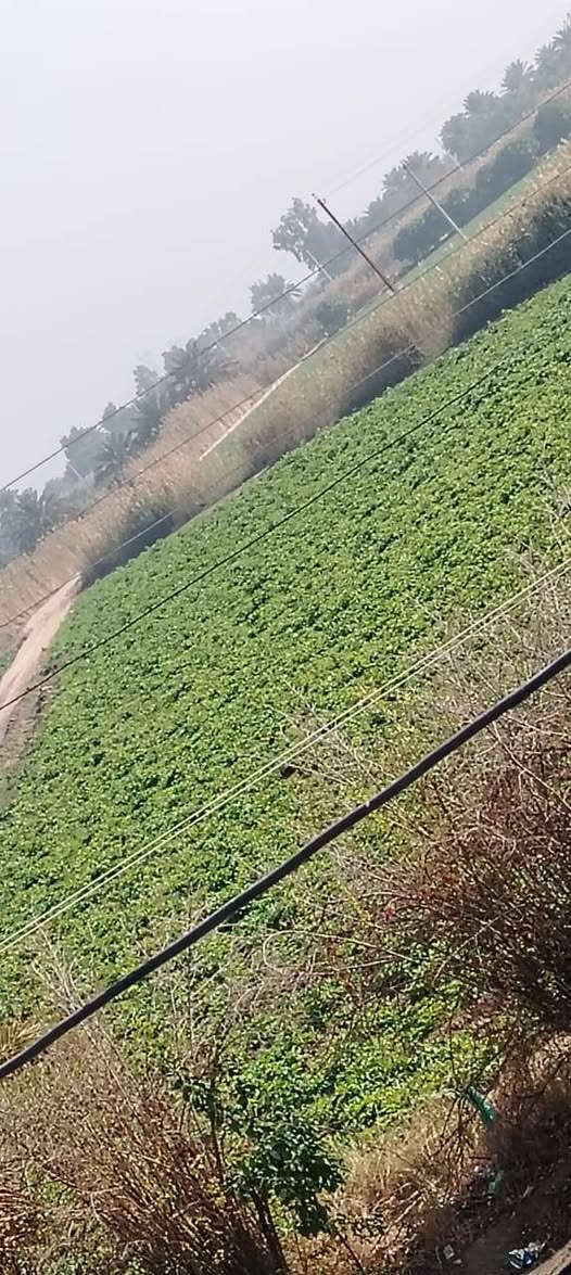 السلام عليكم
يوجد اربع دونم للبيع طابو زراعي سند 25
اساله و نهر
قرب المدارس والاسواق
تبعد عن الشارع 300 متر
***********
