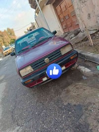 توماتيك • بدون صبغ • نينوى