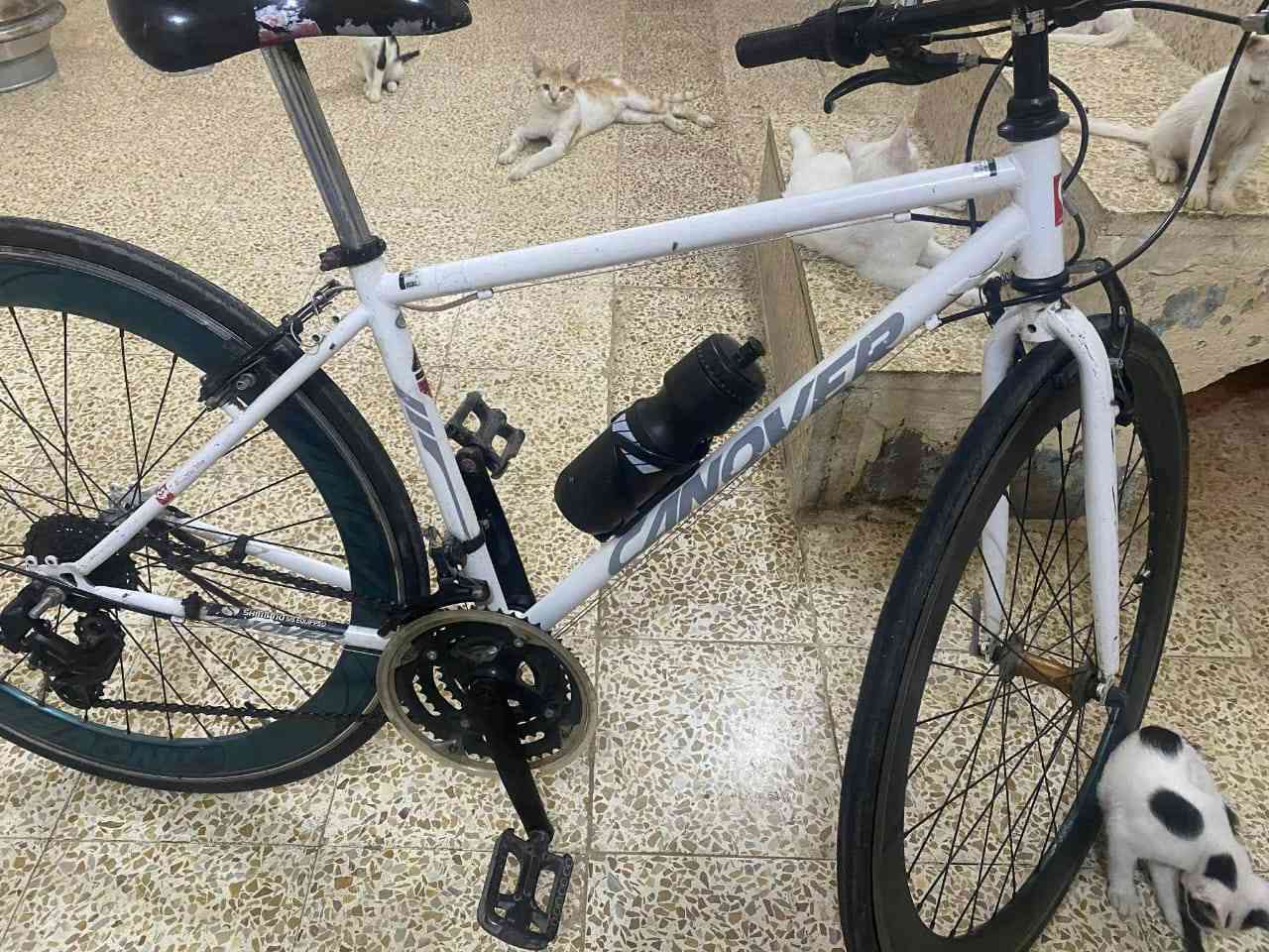 السلام عليكم بايسكل للبيع مال سباق ما بي اي عطل للسعر 
***********
