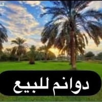 ارض طابووزراعي للبيــــــــــع المساحه 1450متر  العنوان النساف البوعلو...