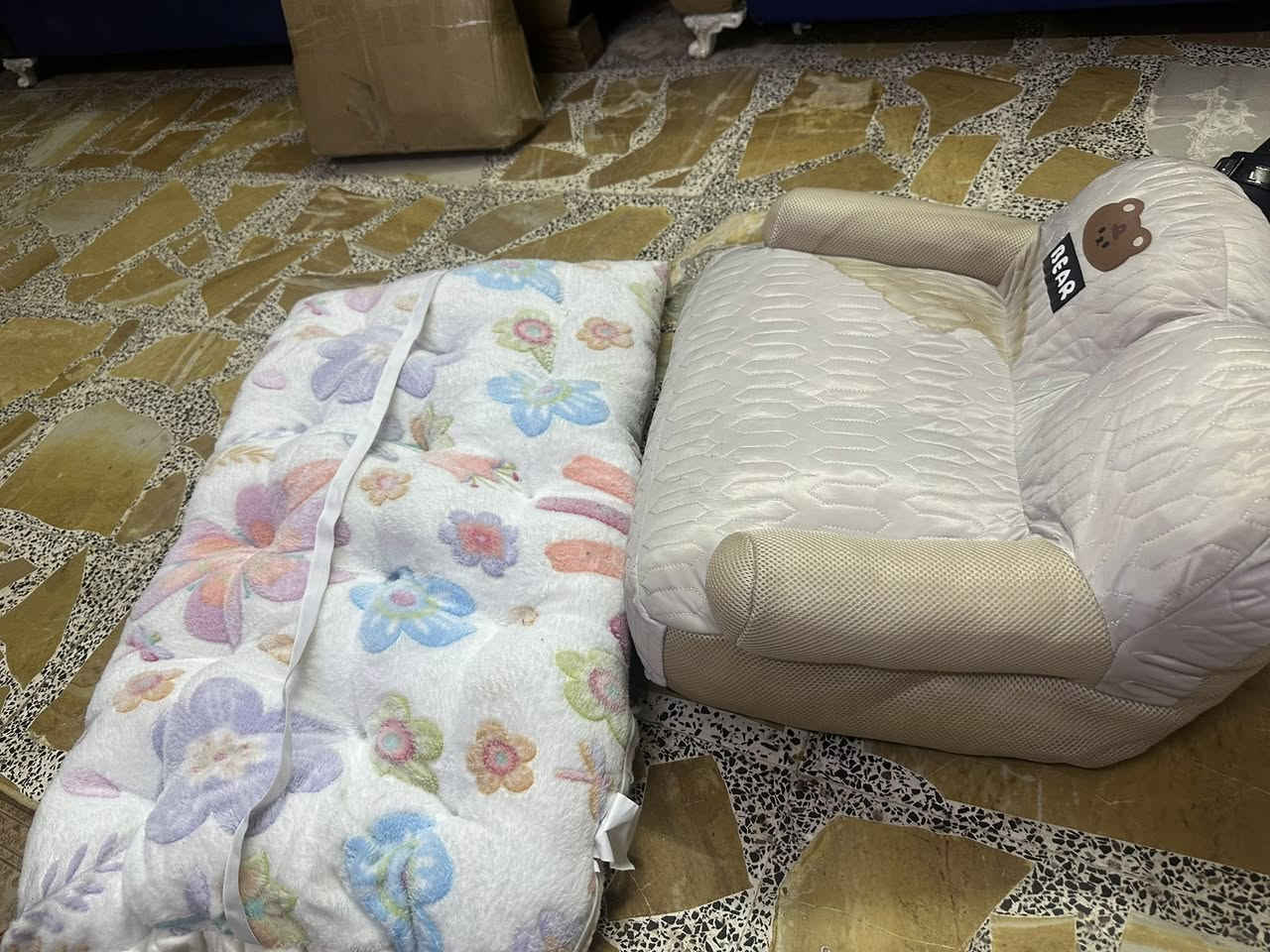وشك ومقعد السعر ٢٠ مع التوصيل


**إذا كنت صاحب هذا الإعلان وتريد حذفه لأي سبب، رجاءا أرسل رسالة إلى الدعم الفني**