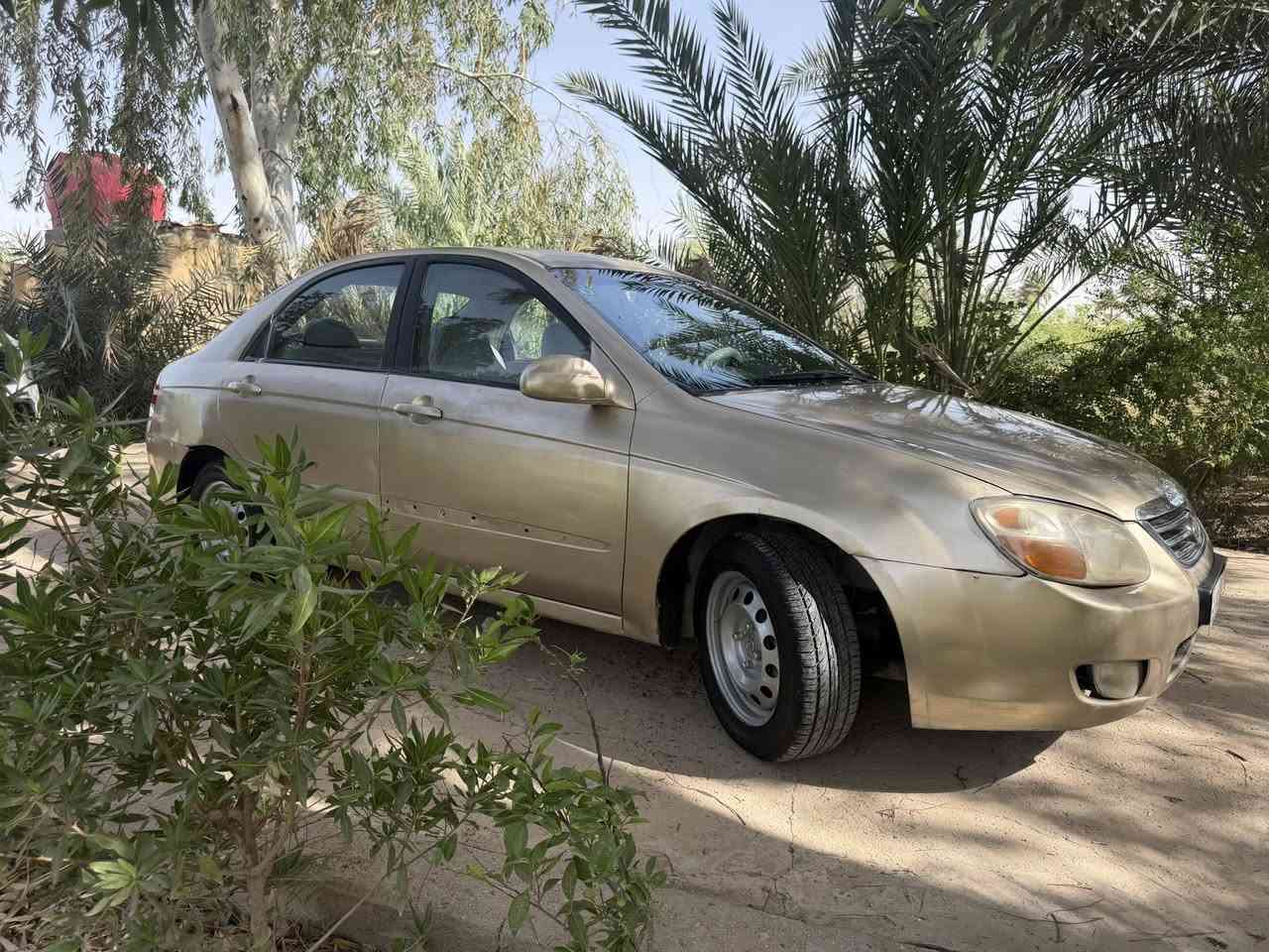 سلام عليكم سبكتره 2007 رقم كربلاء تحويل مباشر كير ومكينه وتبريد شرط تخم تاير دواخل نضيفه صبغ عام بدون دواخل لاشاصي ولا حوض ولا لخد شرط حادثهه ربع جاملق الخلفي السياره بيهه نقوصات بصيطه السعر 58 وبيهه مجال حك جيتك العنوان مشروع لمسيب رقم ***********
