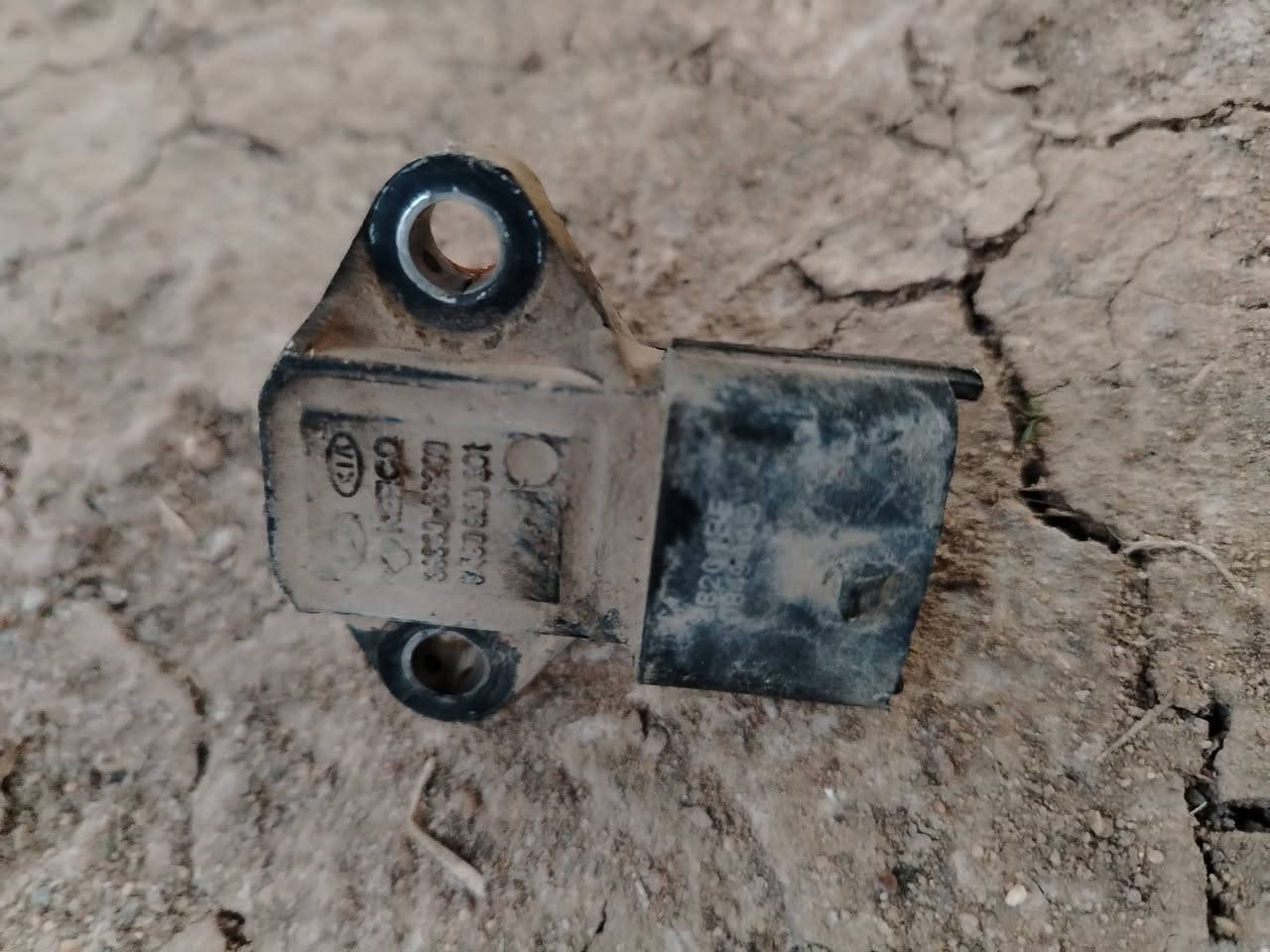 سلام 👋عليكم
عندي غراض فيراكروز للبيع سعر قيم واخذ بيع كلهن 

كاردن ًكامل هوه والوكير 

نوزلات والمصطره شغالات فول

باور ستيرن 

دينماه 

جويتر

سلكتر كير

مجاول 

التصال +***********
