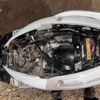 سكنس للبيع  فحل كابريتر  مجفته مره وحده سعره 475 وبيها مجال واتس .0778...