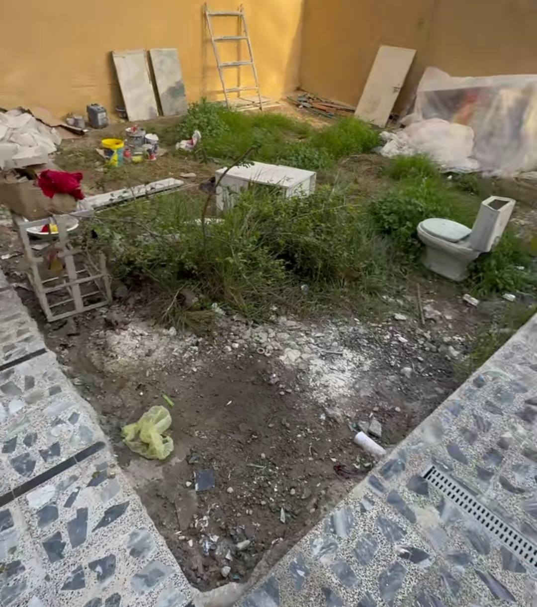 اللي عنده حديقة يريد يعدلها
او حديقة قديمة يريد ينظفها . او يريد يزرعها 
يتصل  .  "***********"
بأنسب أنسب الأسعار.  سعر خيالي اكثر مما تتخيل 
اتصل و وين ما تكون اجيك . 
واللي يريد احفر له سواجي هم عادي يتصل ويتدلل .
 
((عرض عرض عرض . لأول 5 أشخاص اشتغللهم))
نصف السعر .
فقط اتصل او راسلني واتساب .
