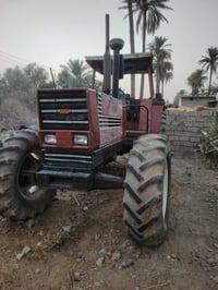 دبوني • ١٥٨٠ • كفالة عامة