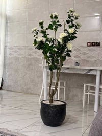 شجرة صناعي • بيش