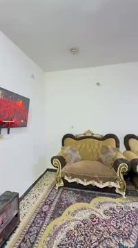 تخم لبيع ستفسار وتساب07773235038