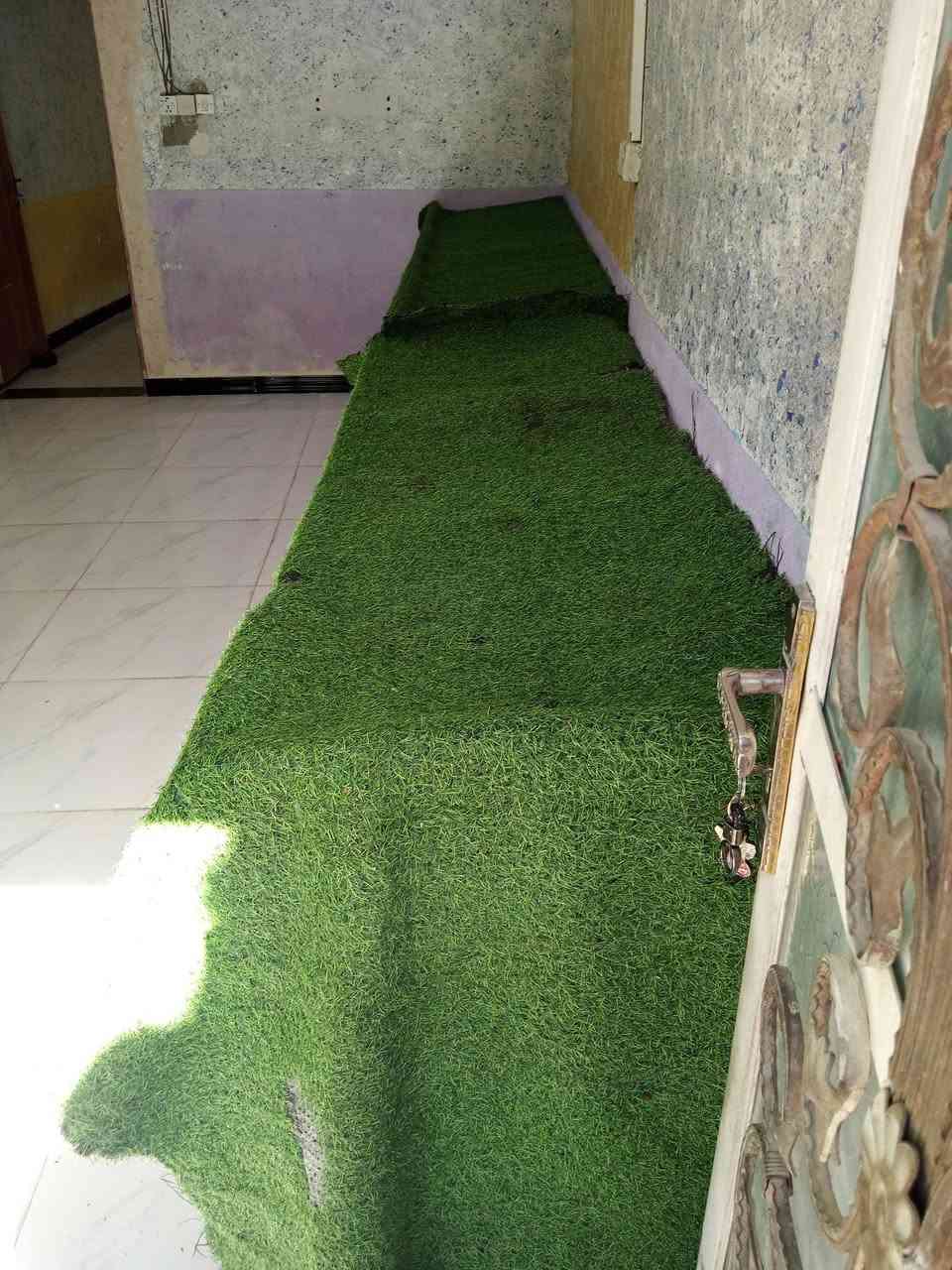 السلام عليكم ... 4ميوزه مخظر تسگام نضاف مع مفرش ثيل صناعي للبيع للاستفسار اكثر مراسلة الصفحه او الاتصال ع رقم *********** وات ساب
