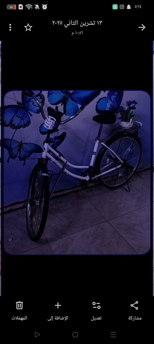 باسكل بناتي حجم 26 الاستفسار ***********موجود فقط واتساب
